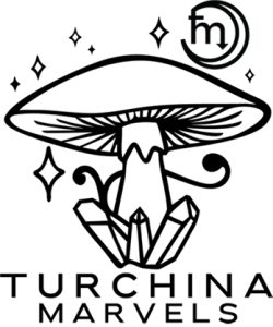 LOGO DEFINITIVO MUSHROOM VECTOR 350px